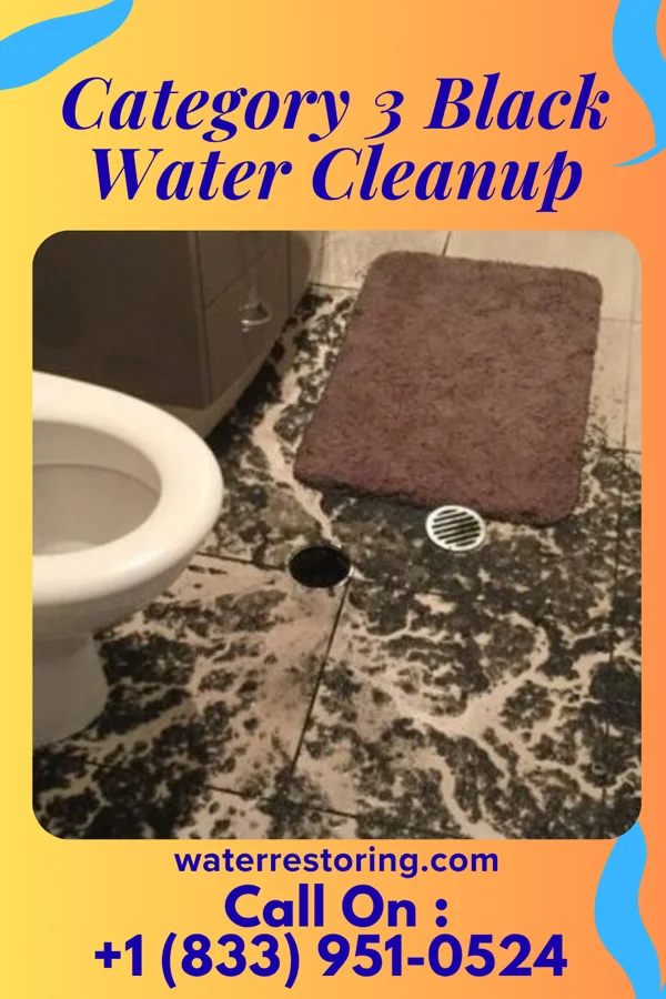 Category 3 Black Water Cleanup in Lewisville, ID