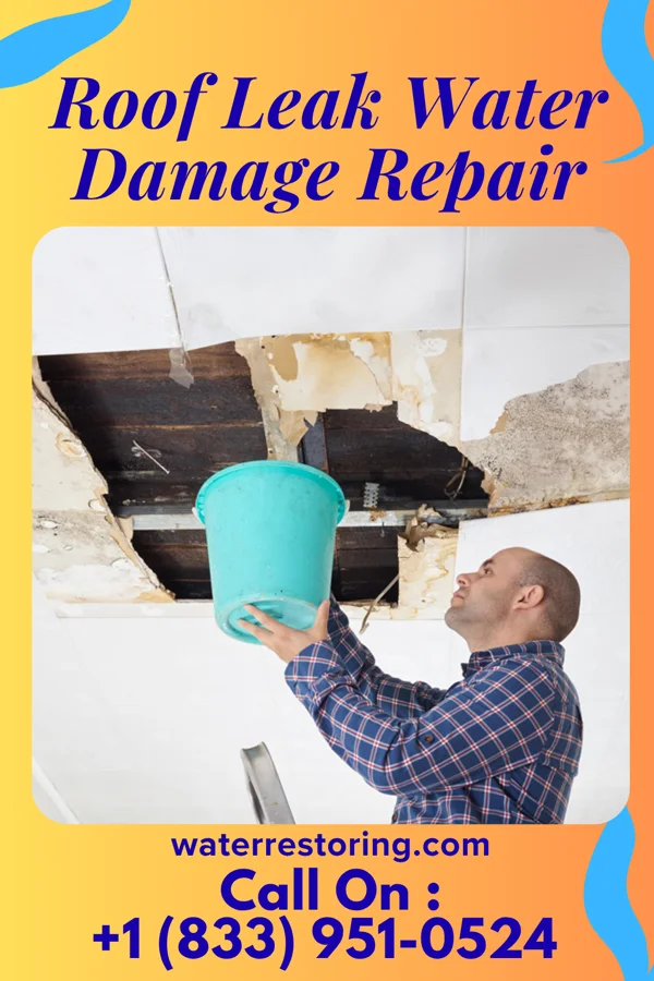 Roof Leak Water Damage Repair in Lewisville, ID